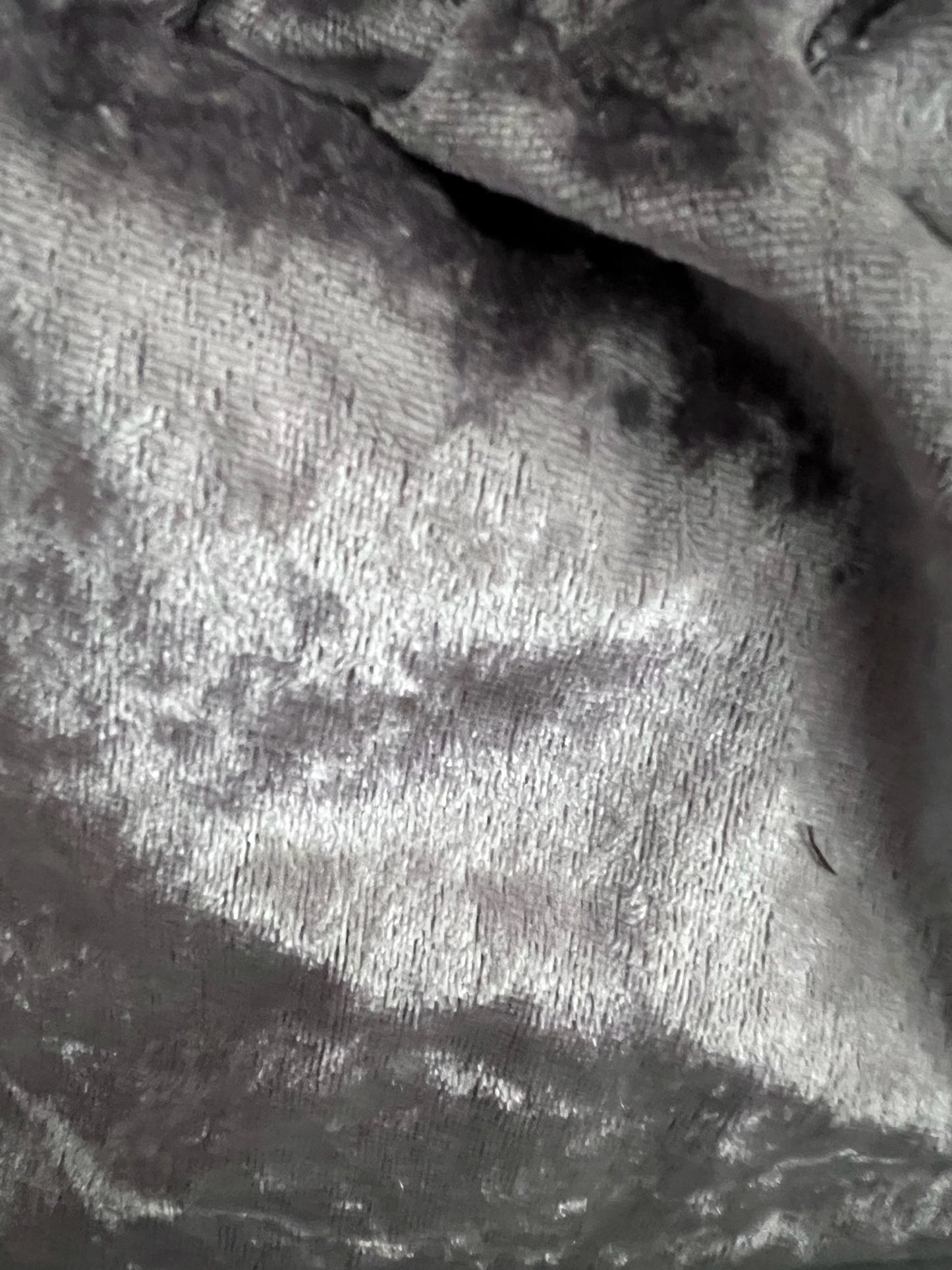 Gabino Terciopelo Plata