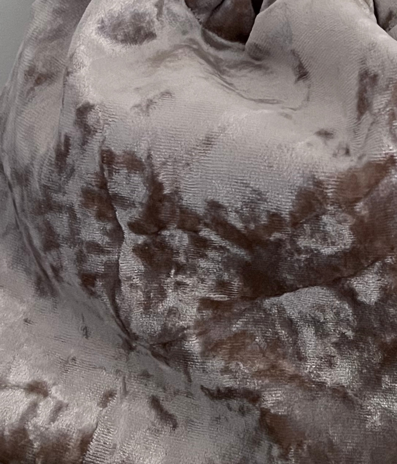 Gabino Terciopelo Topo